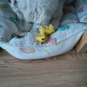 베스트 후기 이미지