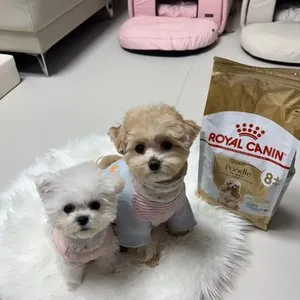 베스트 후기 이미지