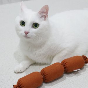 베스트 후기 이미지