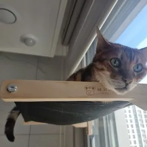 베스트 후기 이미지