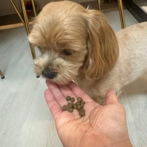 베스트 후기 이미지