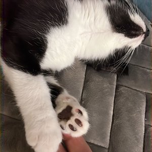 베스트 후기 이미지