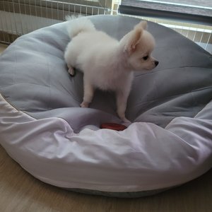 베스트 후기 이미지