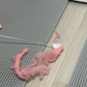베스트 후기 이미지