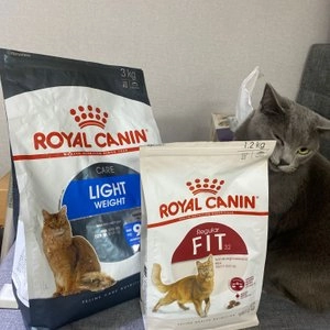 [웰컴딜] 로얄캐닌 캣 라이트 웨이트 케어 400g 체중관리 베스트 후기 이미지