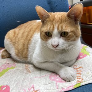 베스트 후기 이미지