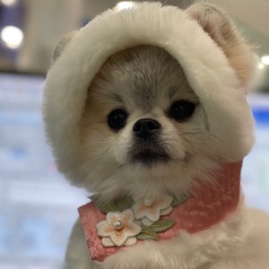 베스트 후기 이미지