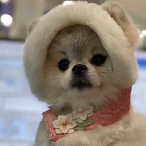 베스트 후기 이미지