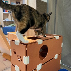 베스트 후기 이미지
