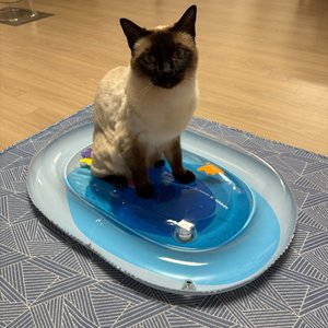 베스트 후기 이미지