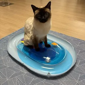 베스트 후기 이미지