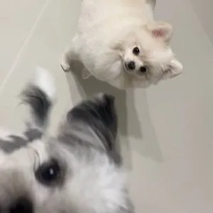 베스트 후기 이미지