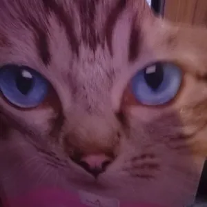 베스트 후기 이미지