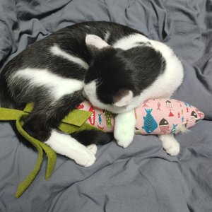 베스트 후기 이미지