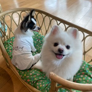 베스트 후기 이미지