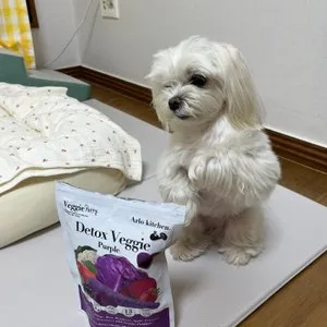 베스트 후기 이미지