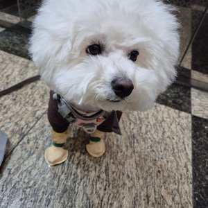 베스트 후기 이미지