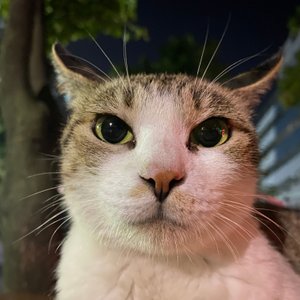 베스트 후기 이미지