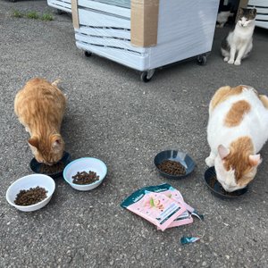 베스트 후기 이미지