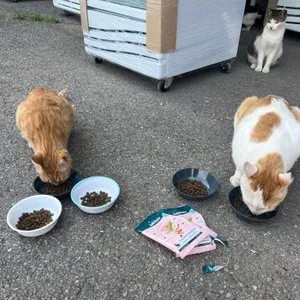 베스트 후기 이미지