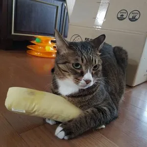 베스트 후기 이미지