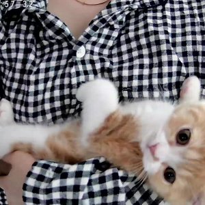 베스트 후기 이미지