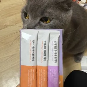 베스트 후기 이미지