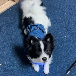 베스트 후기 이미지