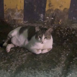 베스트 후기 이미지