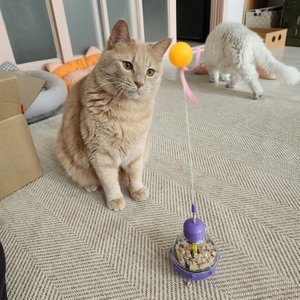 베스트 후기 이미지