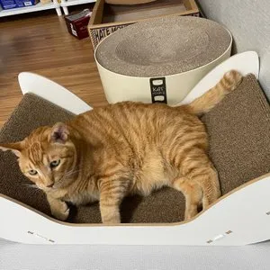 베스트 후기 이미지