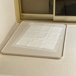 베스트 후기 이미지