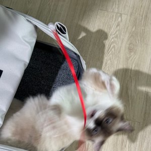 베스트 후기 이미지