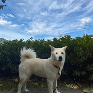 베스트 후기 이미지