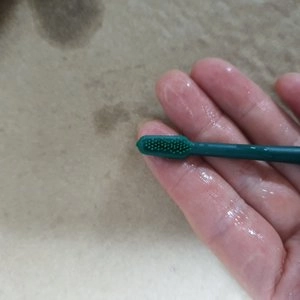 브리지테일 페토덴트 칫솔 소프트 베스트 후기 이미지