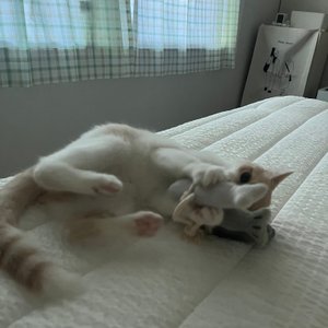 베스트 후기 이미지