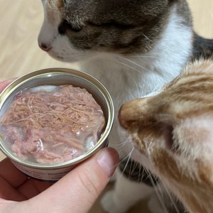 베스트 후기 이미지