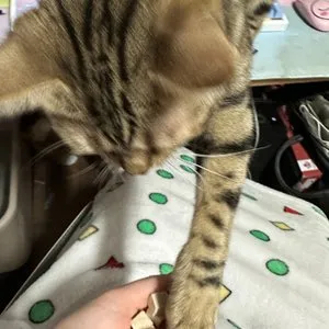 베스트 후기 이미지