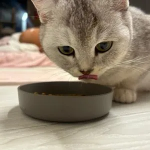 베스트 후기 이미지