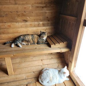 베스트 후기 이미지
