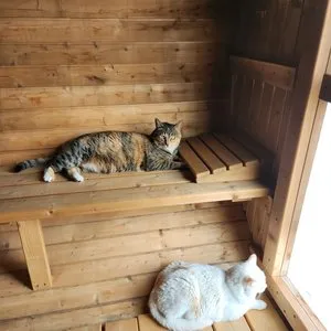 베스트 후기 이미지