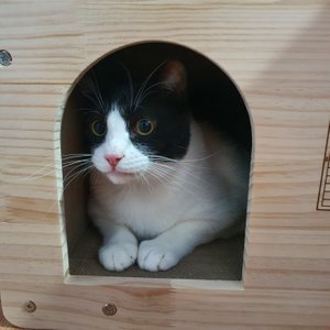 베스트 후기 이미지