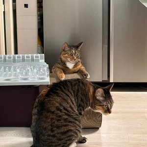베스트 후기 이미지