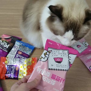 베스트 후기 이미지