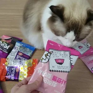 베스트 후기 이미지