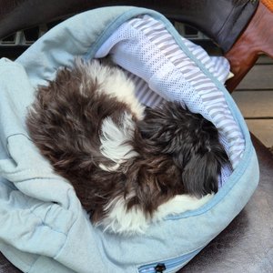 베스트 후기 이미지