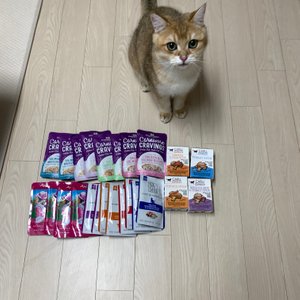 베스트 후기 이미지