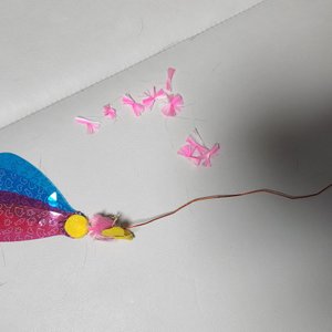 베스트 후기 이미지