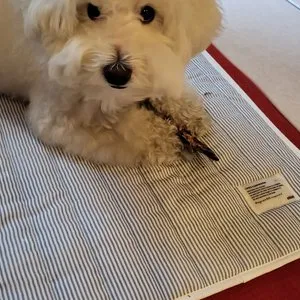 베스트 후기 이미지