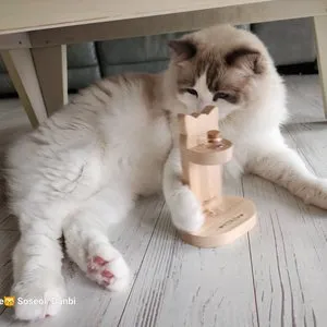 베스트 후기 이미지